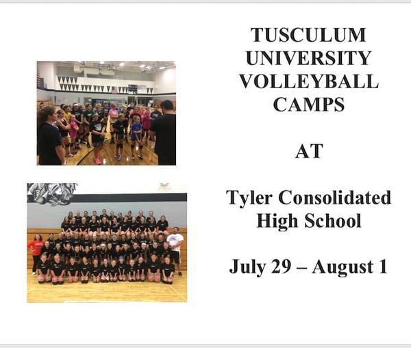 Tyler Consolidated To Host Tusculum University Volleyball Camps News, Sports, Jobs Tyler
